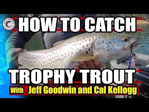 Power Trolling for GIANT Trout & Salmon at Lake Shasta!