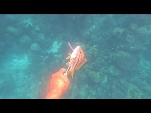 NAGKA ULAM PARIN PAGKATAPOS NG MALAKAS