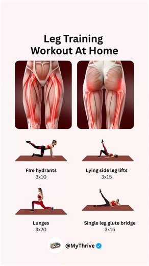 Leg Training Workout At Home (No Equipment)