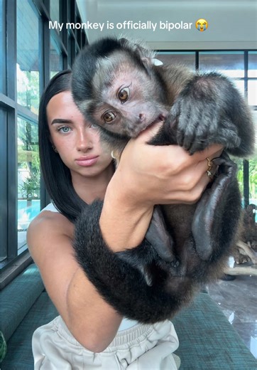 bipolaire ou amoureux je sais pas 🤣 | Monkey Pet
