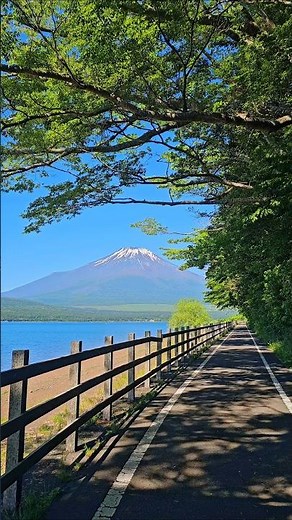 新緑に包まれた富士山の絶景Mt. Fuji in Fresh Summer Green #japan #fuji #山中湖 #富士山