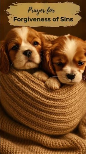 Prayer to Repent and Be Forgiven 🙏🐶 | Daily Short Prayer
