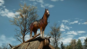 CDPR announced an expansion for The Witcher 3 - not about Ciri yet, but about Roach