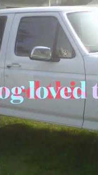 Turning our 1992 F150 bush heater into a fancy fishing truck