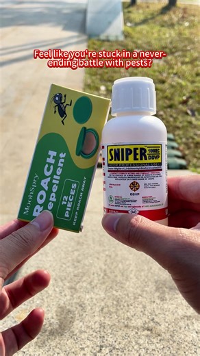 Effective Roach Repellent Strategies
