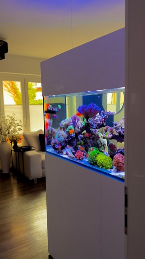 Flo‘s Reef on Instagram: "Guten Start ins Wochenende! 🌊☀️ 🧪: @oceamolab DUO + Regulator A&O 🧂: @ati_aquaristik Absolute Ocean & @nyos.aquatics Pure 💊: @nyos.aquatics & @ati_aquaristik full supplements 📈: @ati_aquaristik ICP OES/MS 📌: @aquawiz KH/Alkalinity Control 🌊: @aquaillumination Nero 5 & Nero 7 💡: @aquaillumination Blades Grow + Glow #aquascape#aquarium#coralreef#reeftank#reef#fish#interior#coral#fishtank#livingroom#saltwateraquarium#reefporn#saltwater#wildlife#coralreeftank#ocean#