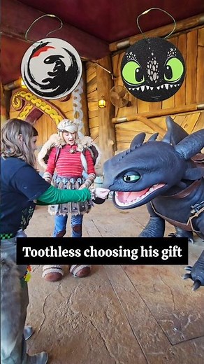 Toothless Picking His Christmas Present at Isle of Berk