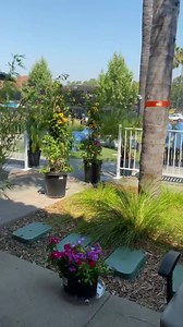 9.2K views · 958 reactions | Discover The Blossom Oasis Experience  A picture is worth a thousand words… We bring the spa to you with our redefined outdoor manicure & pedicure experience. What will you experience?? ✅Peace Of Mind With Our High Safety Measures ✅Comfortable Seating ✅Outdoor A/C & Misting System ✅Healthy Manicure & Pedicure Services  How do I book a reservation? www.blossomnailspa.net  Text 669-273-6499 | Blossom Nail Spa | Facebook