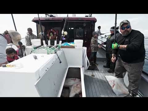 Alaska Family Fishing Charter on Puffin Charters
