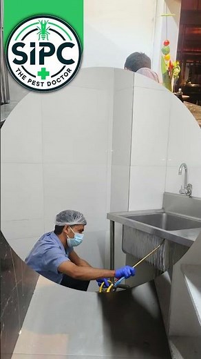 Pest control Services in India | Sequre India Pest Control SIPC.