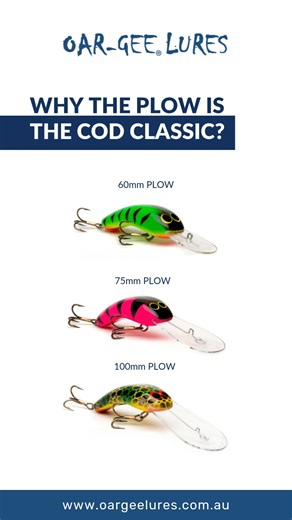 Why the PLOW is the Cod Classic 🎣 Three sizes. One legendary lure. Built tough for Murray cod, yellowbelly, and beyond. 🔥 60mm PLOW – Compact, versatile, and perfect for casting tight structure or trolling shallows. Loves cod, golden perch, bass, and trout. 3.6mt and 5mt depth. 🔥 75mm PLOW – The all-rounder. Medium size, built for both casting and trolling, with the muscle to handle big native hits. 4.5mt and 7.6mt depth. 🔥 100mm PLOW – The heavy hitter. Designed for trophy cod. Wide pulsing