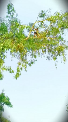 6.4M views · 10K reactions | Muhammad Bilal on Reels | Facebook