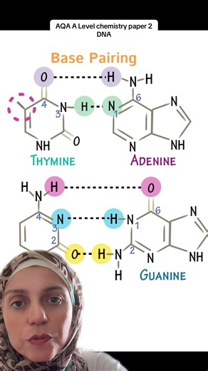 AQA A level chemistry. DNA base pairing. Exam preparation. Exam 2026. #alevelchemistry #aqachemistry #exampreparation #dnabasepairing #paper2