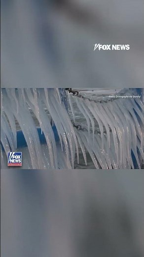 Icicles show off their winter sparkle