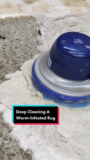 Removing Worms from a Rug: Professional Cleaning Process