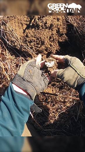 74K views · 1.6K reactions | Unbelievable BIG silver coin found metal detecting!! #metaldetecting #adventure #vermont #silver #treasurehunt | Green Mountain Metal Detecting | Facebook