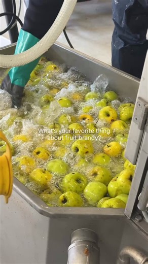 We’ve got a crush on apple brandy, is it obvious? | The Dampfwerk Distillery