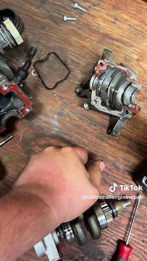 STIHL BR600 Leaf Blower Engine Teardown & Diagnosis