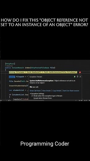 How do I fix this "Object reference not set to an instance of an object" error?