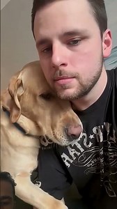 Dogs Loving Their Humans ❤️🐶 Heartwarming Moments #DogsLoveHumans #DogLovers