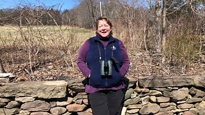 Get to know the stylish Northern Cardinal -- and pick up a fun fact on what it used to be called! | Mass Audubon