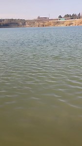 46K views · 359 reactions | Canna fissa stile Sampei  Asso Fishing Line | Fishing Passion & Feeder | Facebook