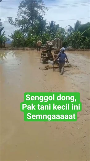 jangan di lihat dari kecilnya tapii kekuatannya.semngatnya #shortsyoutube
