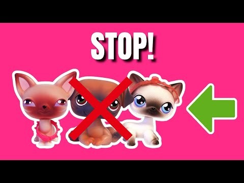 Beginner’s Guide to Littlest Pet Shop Collecting (Avoid These Mistakes)