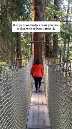 Nell Narasappa | California Travel & Outdoor Adventure on Instagram: "location details ⬇️ tucked away in Northern California this hidden gem is dog friendly and makes for the perfect roadtrip stop! Imagine an elevated adventure that lets you explore old-growth redwoods from 50–100 feet up in the air, traversing not 1 but 8 suspensions bridges?!! Followed by taking a gondola ride (as many times as you’d like!) through and above the redwood forest canopy! L͟O͟C͟A͟T͟I͟O͟N͟ 📍mentioned in the