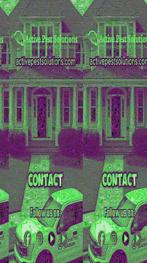 Tired of pests taking over your space? 🐜 Let the team at Active Pest Solutions in Williamsport, PA handle it with expert care and proven results. With over 20 years serving North Central Pennsylvania, we specialize in insect, rodent, termite, bedbug, and animal control—keeping your home safe and comfortable. Don’t wait for things to get worse. Reach out today for a thorough assessment and prompt service. 📍 Williamsport, PA 📞 570-322-6482 🌐 activepestsolutions.com #WilliamsportPA #ActivePestS