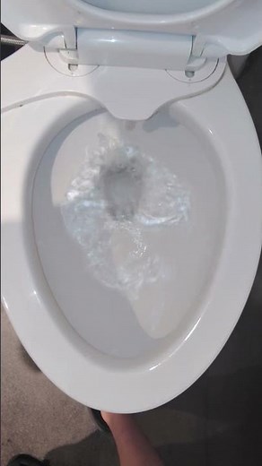 Brand New American Standard Champion 4 Toilet!