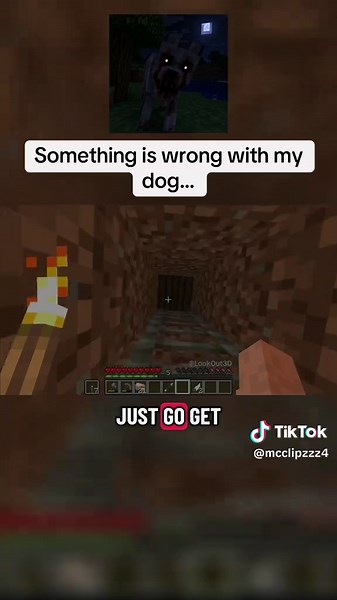 Was it Jerry?? @LookOut3D #minecraft #horror #scary | jerry minecraft dog