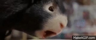 G-Force poop in his hand on Make a GIF