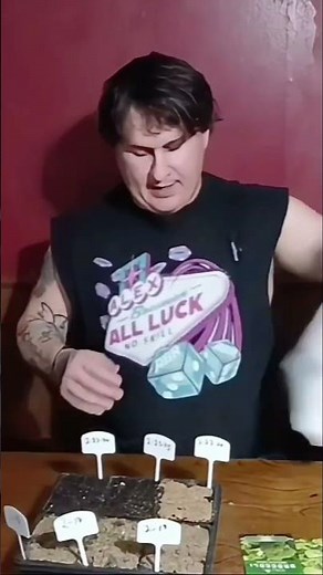 planting georgia collard seeds.