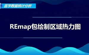 REmap包绘制区域热力图
