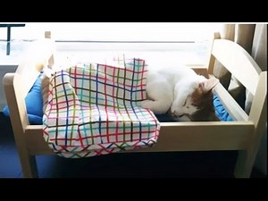 IKEA Doll Beds Turned Into Adorable Cat Beds