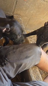 If you can get stinky and dirty with your dog, you've lost a passion.You've lost a love | LUCKY LOPEZ