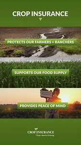 45 reactions · 5 comments | America’s farmers work hard to feed the nation, and crop insurance helps them by offering critical protection against the unexpected. Discover how crop insurance safeguards farmers, strengthens our food supply and offers peace of mind to farmers in all states, regardless of size or commodities. Learn more in our link below! | Crop Insurance Keeps America Growing | Facebook