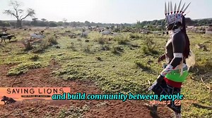 Tonight's the night! Be sure to watch our special Saving Lions: The Pride of Kenya tonight at 8:00! In oir collaboration with the Houston Zoo you'll see how the zoo is aiding Kenyans on the ground in their efforts to restore the lion population while mutually benefiting their livestock, their land, & their livelihoods. Watch tonight at 8:00 on KPRC2 / Click2Houston or KPRC2 #KPRC2 #HoustonZoo Ewaso Lions #EwasoLions | KPRC2 Keith Garvin