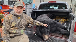 Pa. rifle hunters get more than 680 bears including one that's been tagged four times