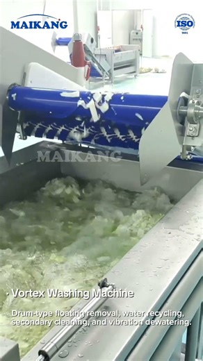 Cabbage Processing Line #VegetableProcessing #FreshCutVegetables #FoodProcessing #OriginalFactory