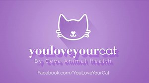 229K views · 14K reactions | Same pet-loving community, new name. Thanks for being a friend. | FELIWAY | Facebook