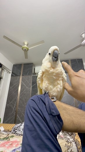 Love 😍😍😍 | Mr. Life Ok