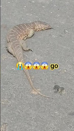 NEW TECH VIVEK GO VIDEO #tech 😭😱😭😱😭