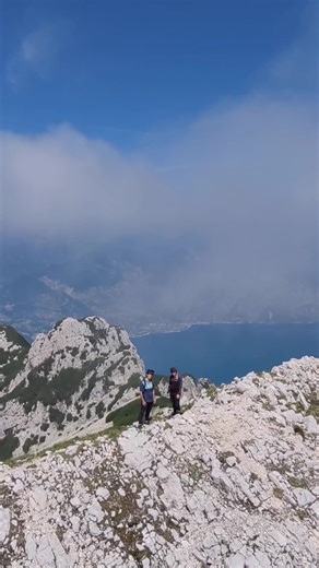 Freeride Inc. At on TikTok