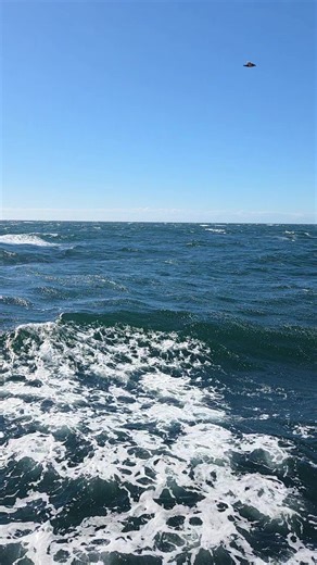 Exploring Altamar con El Ruso: A Nautical Adventure