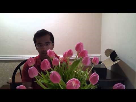 FTD (Florists' Transworld Delivery) FTD.com Revew