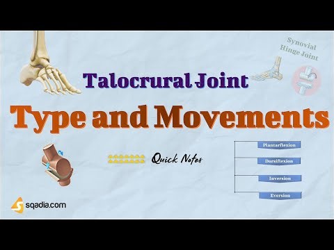Talocrural Joint | Type and Movements
