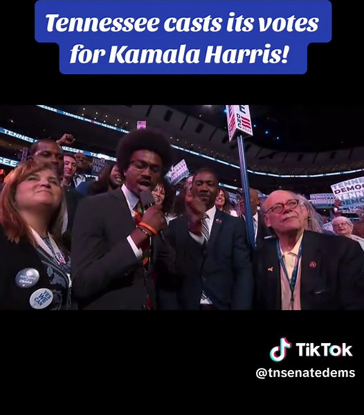 Tennessee Senate Democrats on TikTok