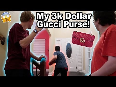 CRAZY FAN STEALS MY PURSE!!